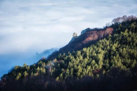 Trees and rocks. Mountain range Demerdzhi Stock Photos
