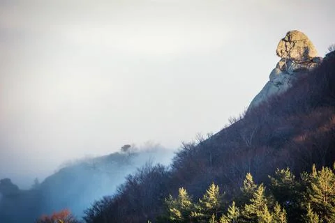Trees and rocks. Mountain range Demerdzhi Stock Photos