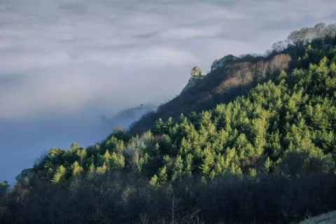 Trees and rocks. Mountain range Demerdzhi Stock Photos