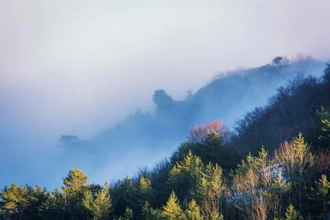 Trees and rocks. Mountain range Demerdzhi Stock Photos