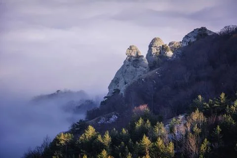 Trees and rocks. Mountain range Demerdzhi Stock Photos