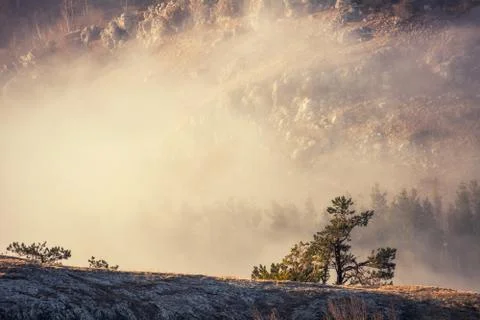 Trees and rocks. Mountain range Demerdzhi Stock Photos
