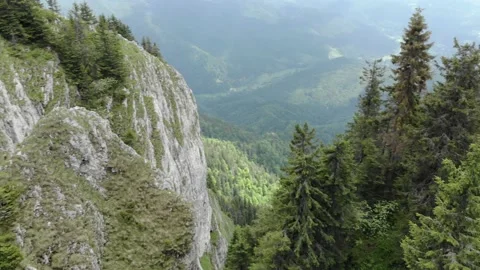 Trees And Rocks On Steep Slopes In The Mountain 360 Degrees Stock-Footage 159915833