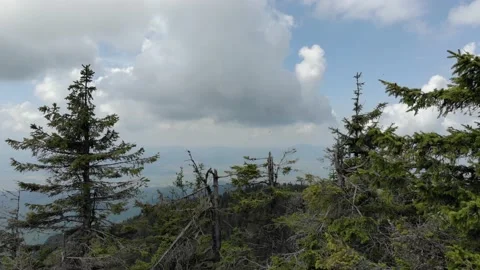 Trees And Rocks On Steep Slopes In The Mountain Stock Footage 159916210