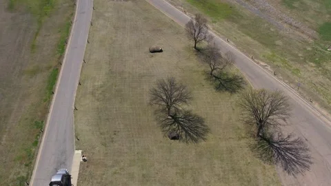 Trees and Shadows and a Rock, Drone Aerial View, Salina, Kansas, USA Stock Footage 159243217