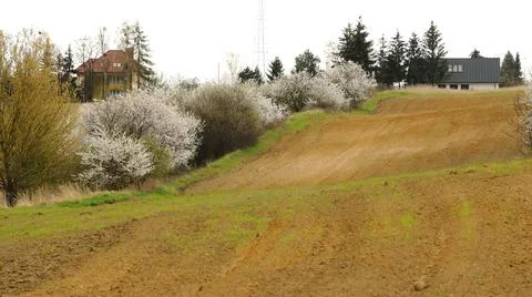 Trees and shrubs and arable fields that bloom in spring Stock Photos