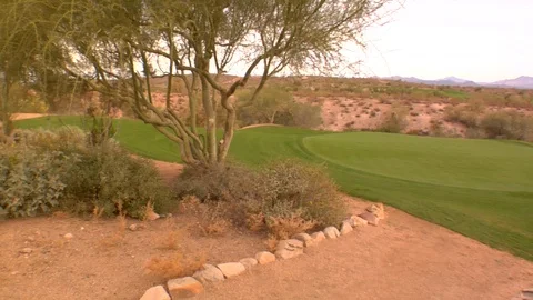 Trees and shrubs around putting green desert cacti cactus Stock Footage 125273684