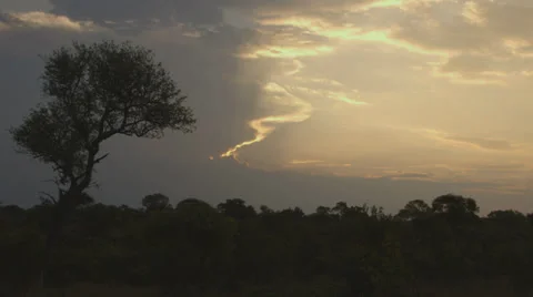 Trees and sky Stock Footage 30548003