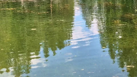 Trees and sky reflected in Pianozes lake Stock Footage 283097780