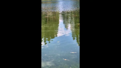 Trees and sky reflected in Pianozes lake Video stock 283097784