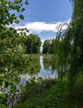 Trees and sky reflected in a still lake Stock Photos
