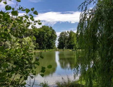 Trees and sky reflected in a still lake Stock Photos