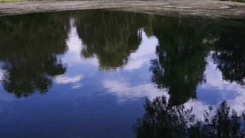 Trees and Sky Reflecting in a Lake Stockbeeldmateriaal 340998516