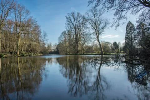Trees and sky reflection on deep lake Stock Photos