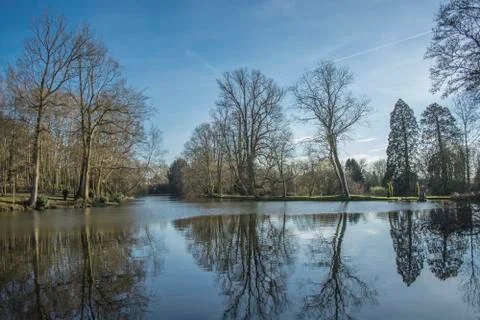 Trees and sky reflection on deep lake Stock Photos