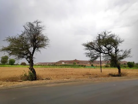 Trees and small hill from state highway Stock Photos