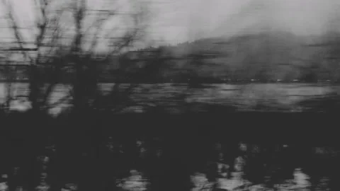 Trees and snow view from passing car Stock Footage 196833604