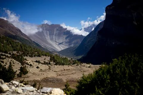 Trees and snowcapped peak at background in the Himalaya mountains, Nepal Stock Photos
