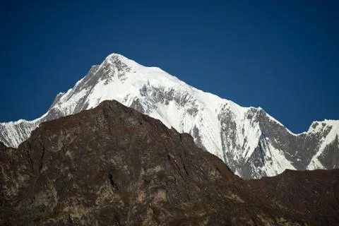 Trees and snowcapped peak at background in the Himalaya mountains, Nepal Stock Photos