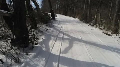 Trees and a snowy road make a beautiful winter scene in south central Kentucky Stock-Footage 342085394
