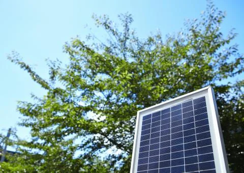 Trees and a solar panel Stock Photos