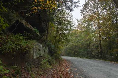 Trees and stone cliffs along dirt road 스톡 사진