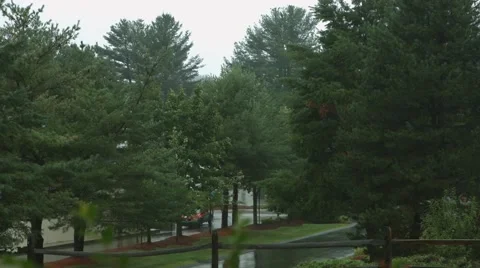 Trees and Street in The Rain Stock Footage 40847034
