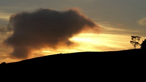 Trees and sunrise Stock Footage 69836331