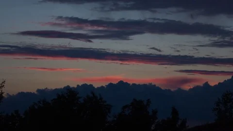 Trees and sunset Stock Footage 77925575