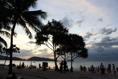 Trees and sunset Stock Photos