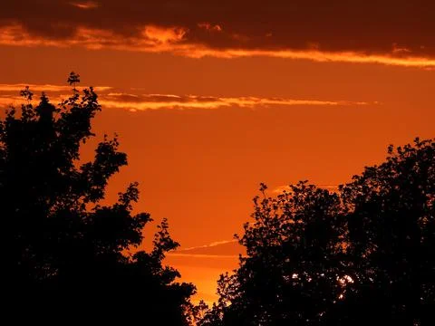 Trees and sunset sky Stock Photos
