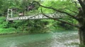 Trees And Suspension Bridge Crossing The Tama River In Green Forest 4k or 4k+ Resolution