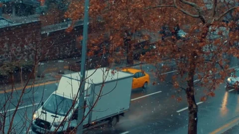 Trees and traffic under snowfall Stock Footage 146841943