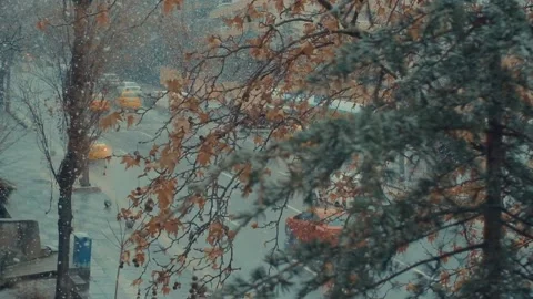 Trees and traffic under snowfall Stock Footage 146887893