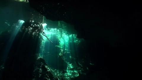 Trees and tree roots and ray of suns view from under clear water in cenotes. Stock Footage 118315826