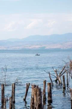 Trees and tree trunks sunk inside the Sea of Galilee Stock Photos