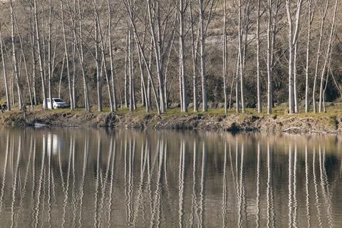 Trees and van reflection on the water Stock Photos