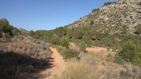 Trees and vegetation by the mountain Video stock 95970184