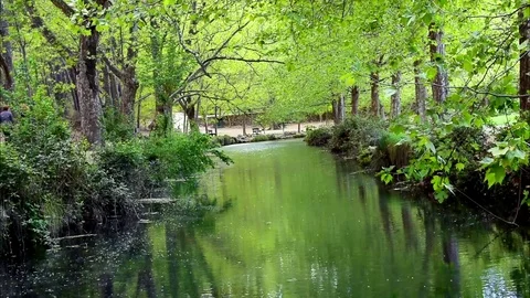 Trees and vegetation reflected in river water. Spring blossom in Murcia Vídeos de archivo 117897573