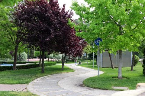 Trees and a walking path in the park Stock Photos