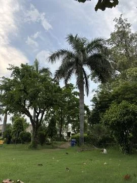 Trees and a walking path visible in the background. The sky is blue and cloud Stock Photos