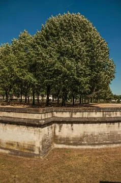 Trees and wall at the moat of Les Invalides in Paris 库存照片