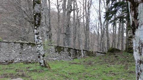 Trees and walls on the path leading to the Franciscan shrine in Italy Stock Footage 75214821