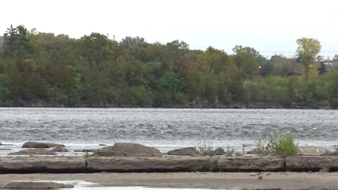 Trees and water in Canada Video stock 81456024