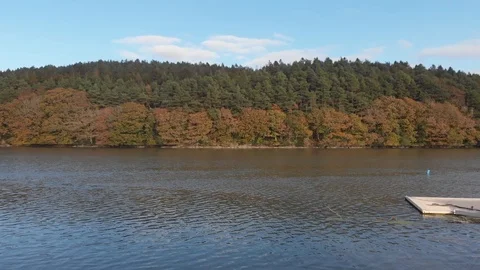 Trees and water push in Video stock 106425934