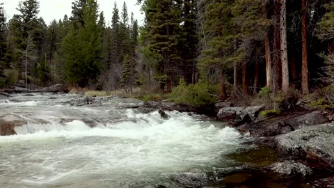 Trees and waterfall during spring melt Stock Footage 155984785