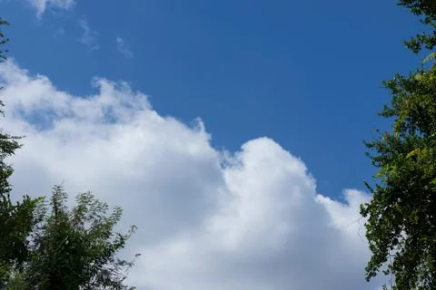 Trees and white clouds in the blue sky Stock Photos