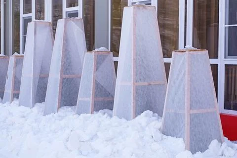 The trees are covered with boxes from the cold and frost Stock Photos