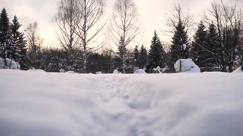 Trees are covered with snow on a warm winter day Stock Footage 124243802