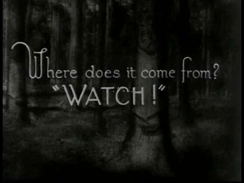 Trees are cut and, utilizing the Charles Herty system, the gum they secrete isƒ Stock-Footage 75768093